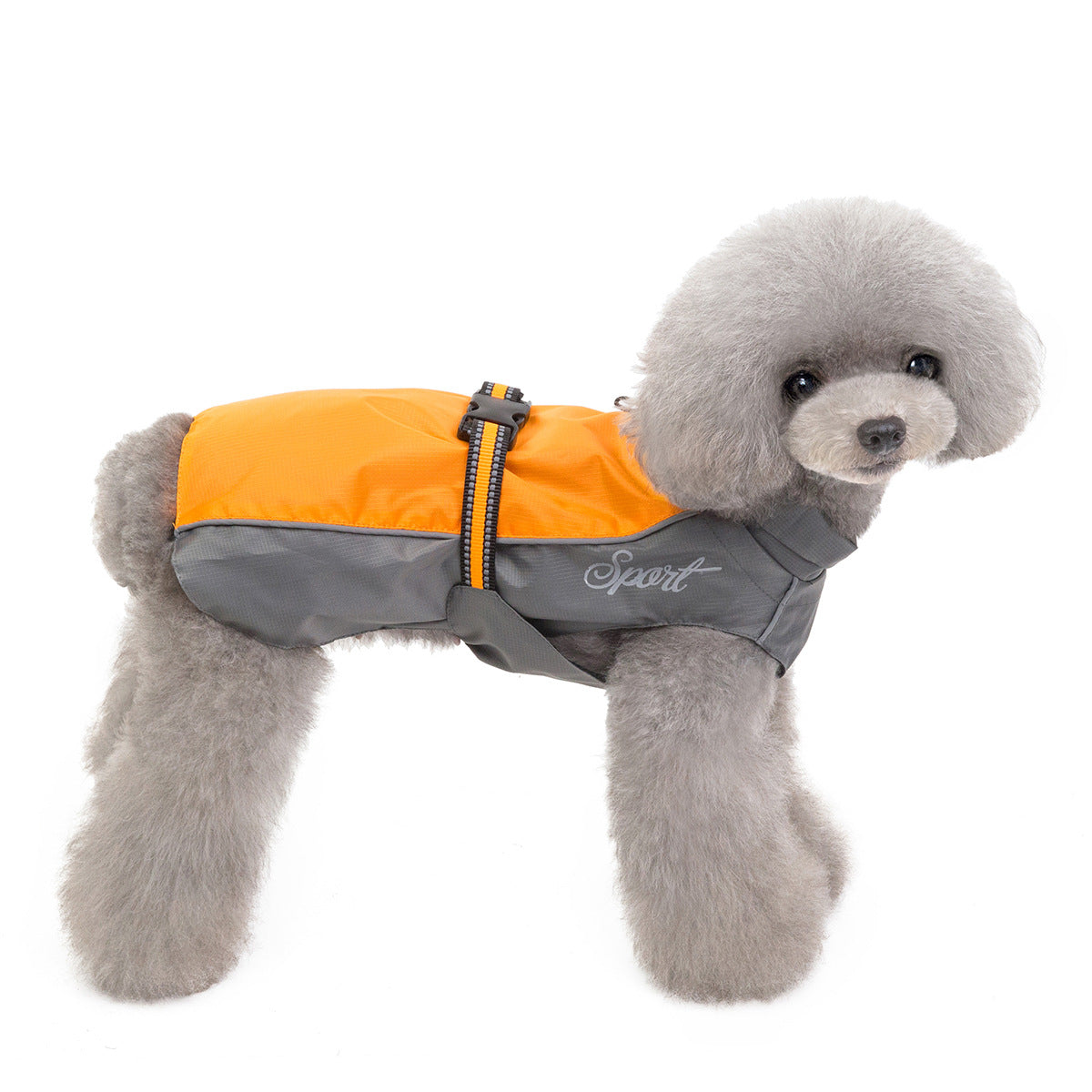 PawGo Raincoat