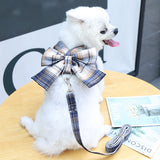 Plaid Bow Harness and Leash