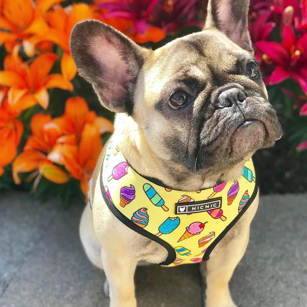 Ice Cream Delight Harness