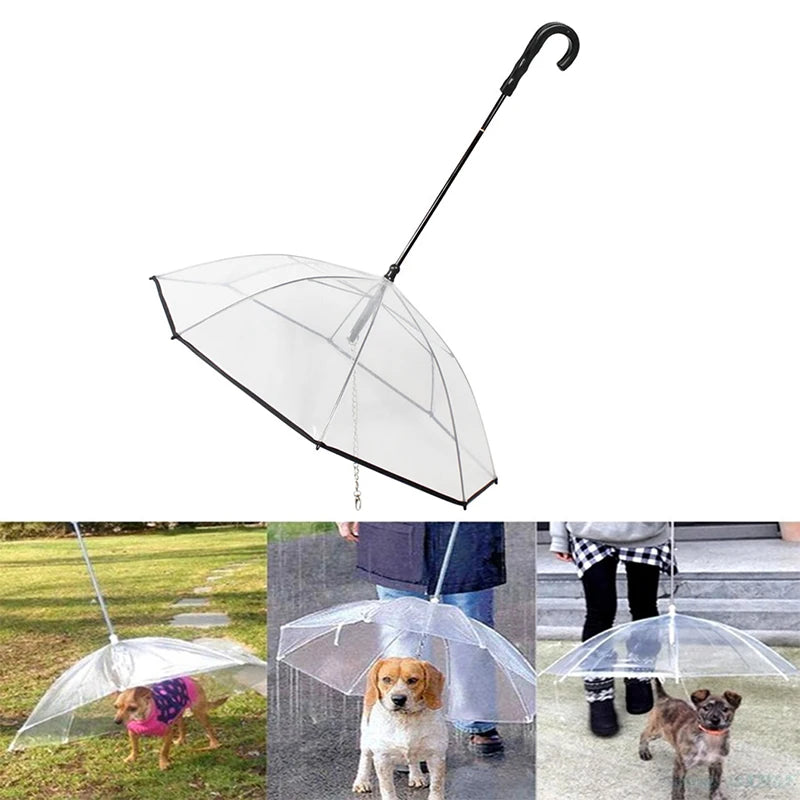 Umbrella Leash