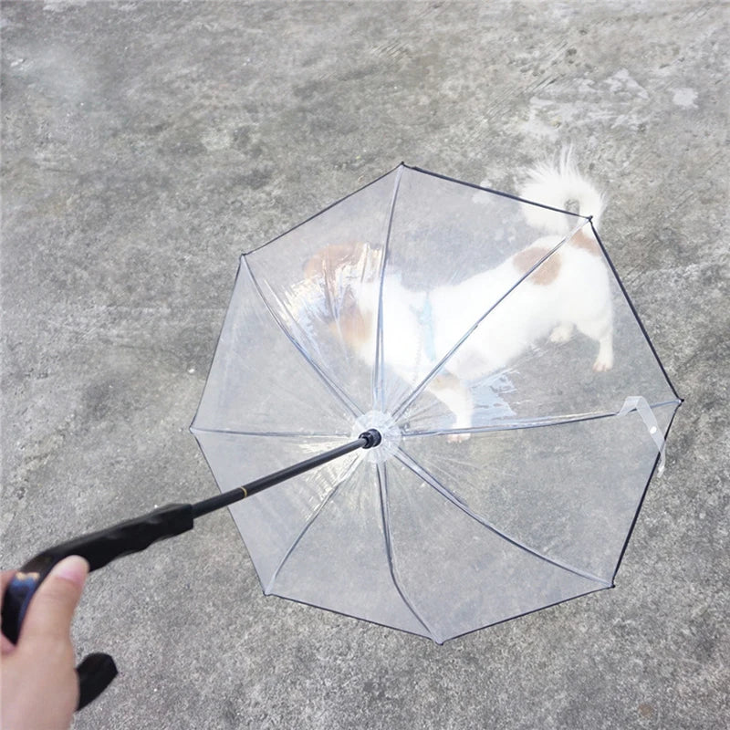 Umbrella Leash