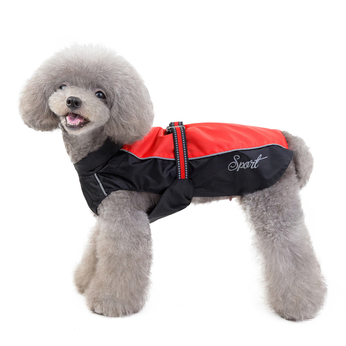 PawGo Raincoat