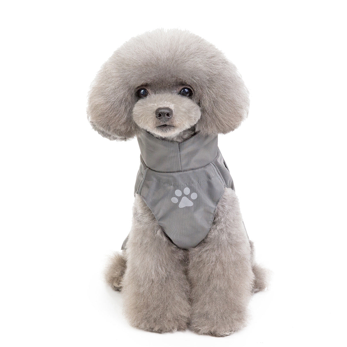 PawGo Raincoat