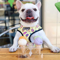 Ice Cream Delight Harness