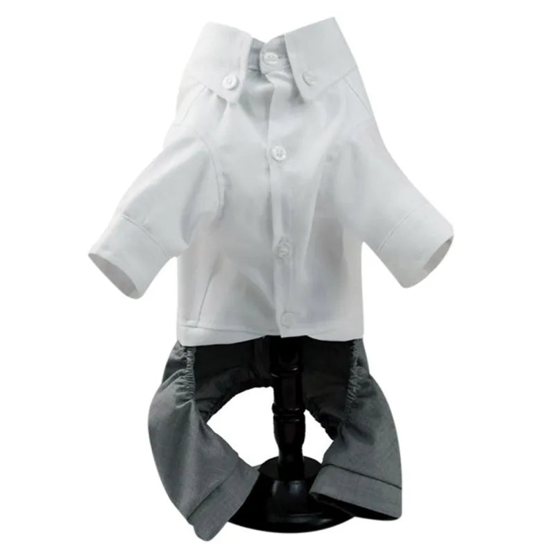 Tuxedo Suit