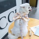 Plaid Bow Harness and Leash