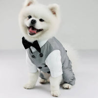 Tuxedo Suit