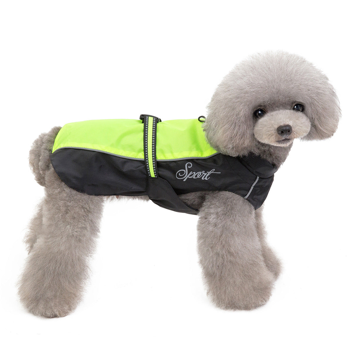 PawGo Raincoat