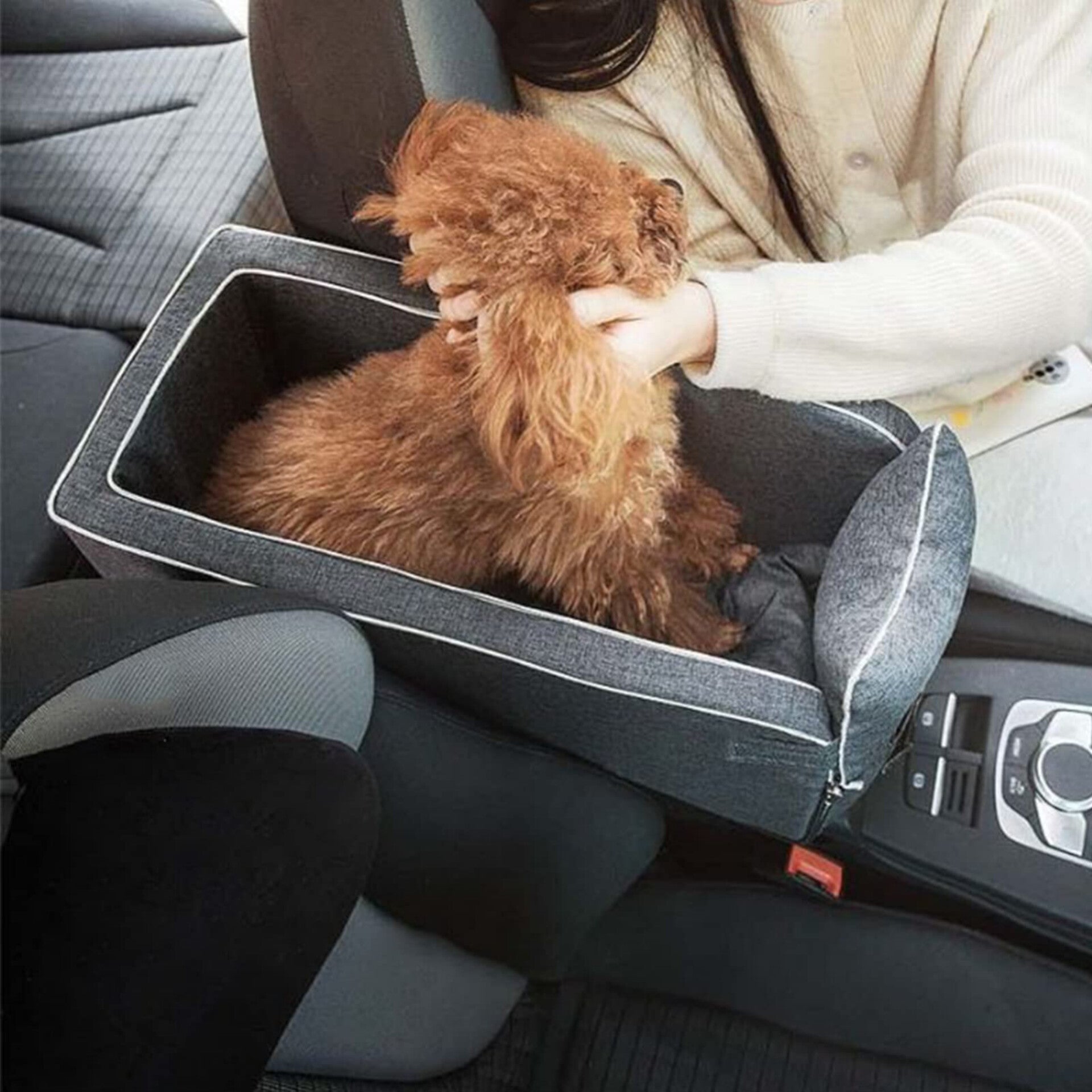 PawGuard Car Safety Middle Seat Carrier Bag