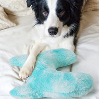 Large Tie-Dye Pet Pillow