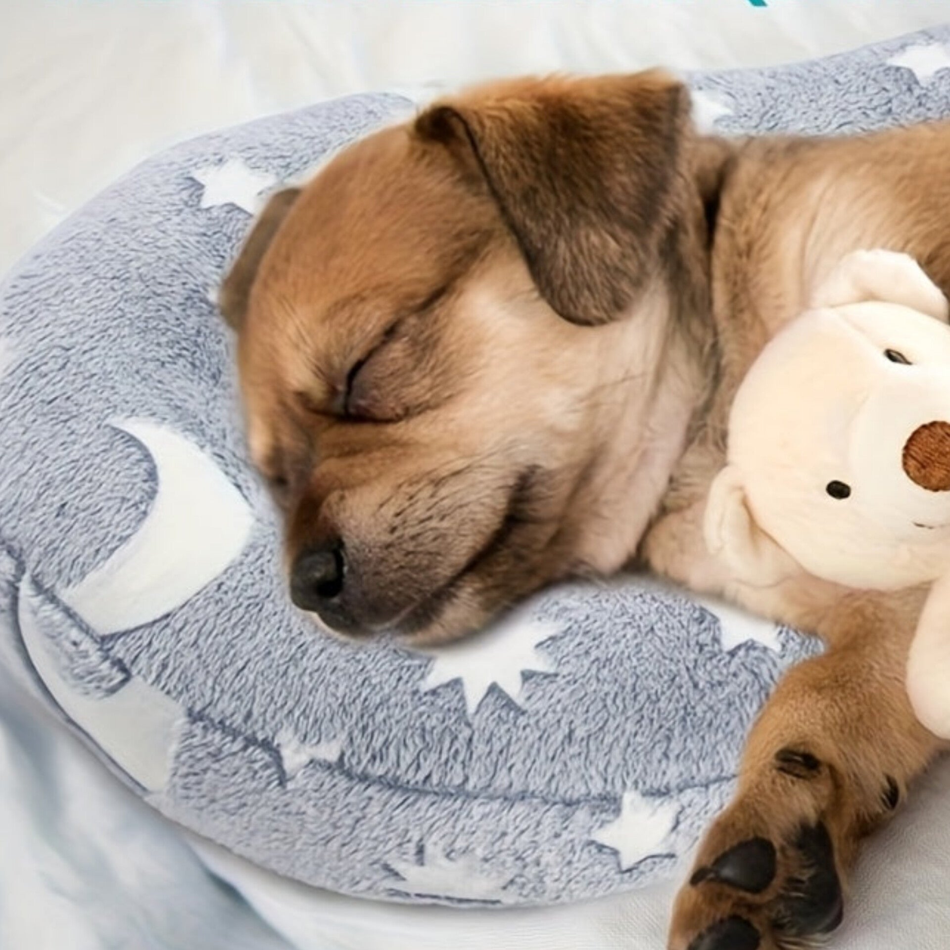 Glow in the Dark Celestial Pet Pillow