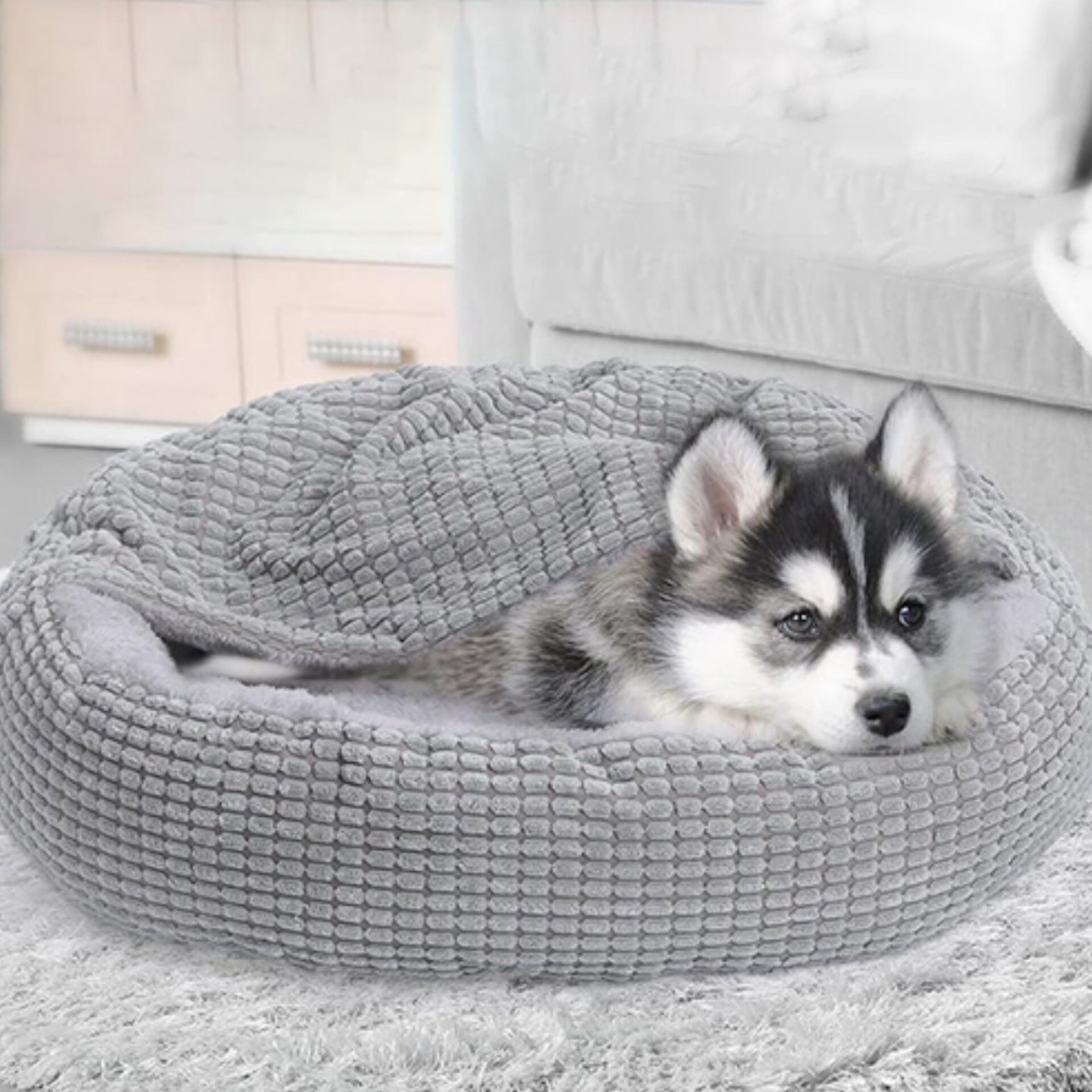 PawPlush Hooded Dog Bed