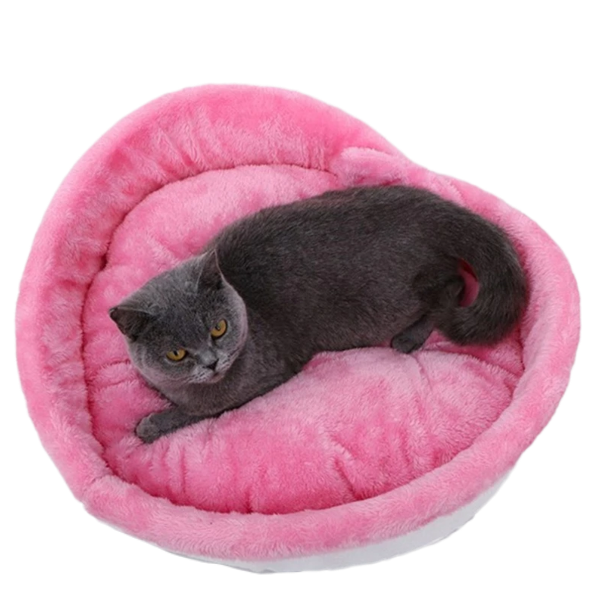 PawHeart Dog Bed