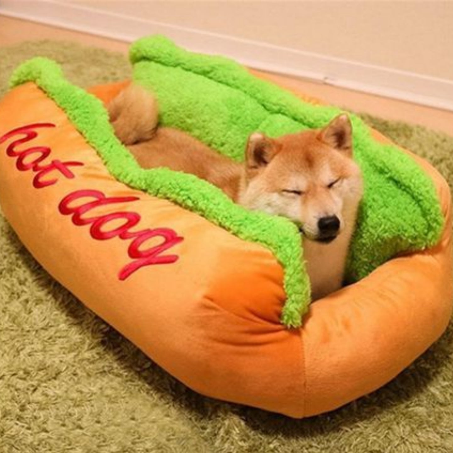 PawFood Hot Dog Bed