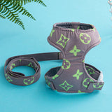 Vuittawn Monogram Harness and Leash