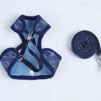 PawChic Monogram Harness and Leash