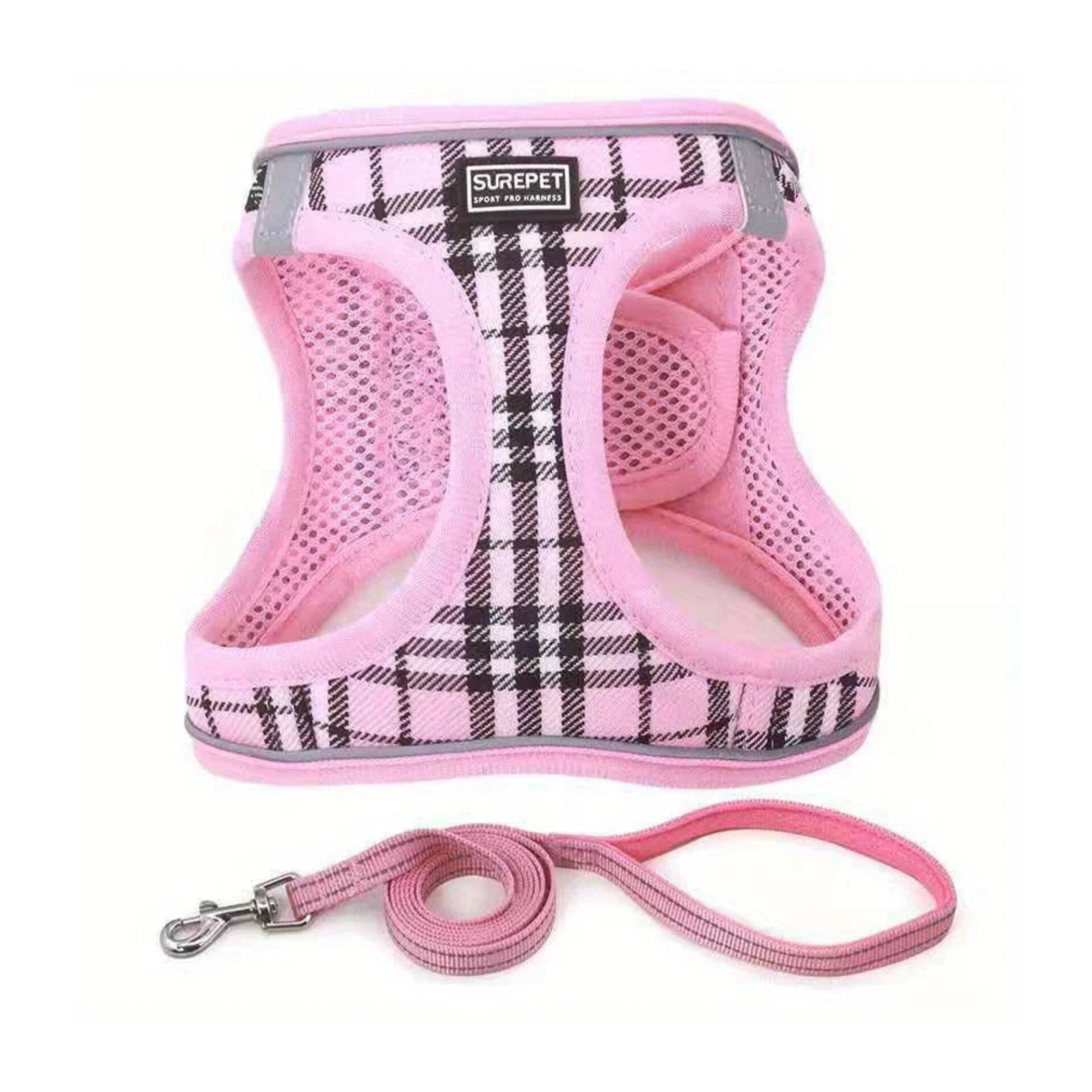 Furrberry Harness and Leash