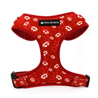 Star Kiss Harness