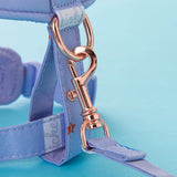 Disney Harness and Leash