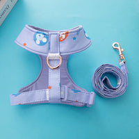 Disney Harness and Leash