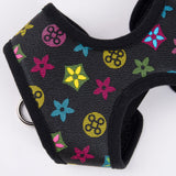 PawChic Monogram Harness and Leash