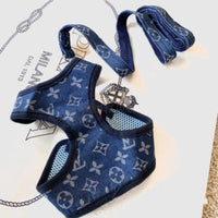 PawChic Monogram Harness and Leash