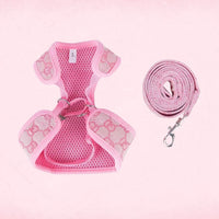 Gucchi Harness and Leash