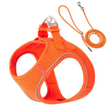 High Reflective Harness and Leash