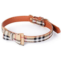 Purberry Collar and Leash