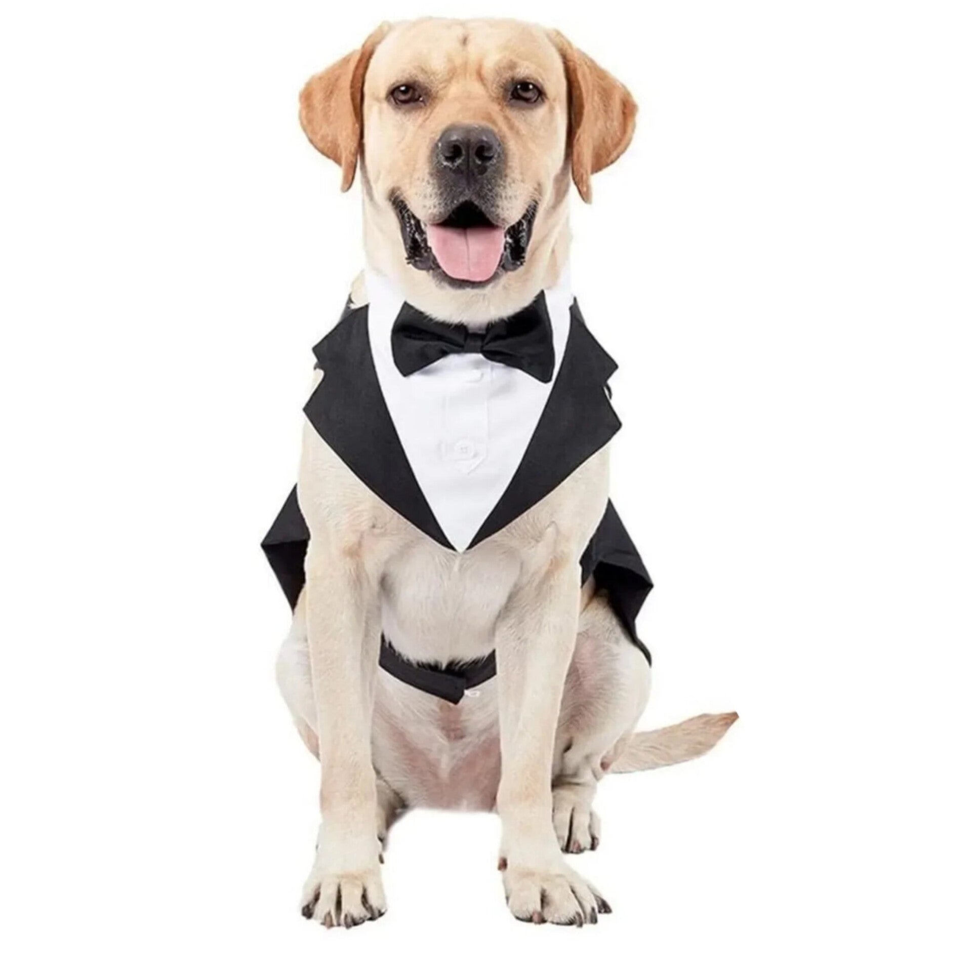 Tuxedo Costume