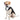 Tuxedo Costume