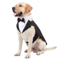 Tuxedo Costume