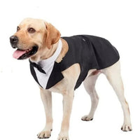 Tuxedo Costume