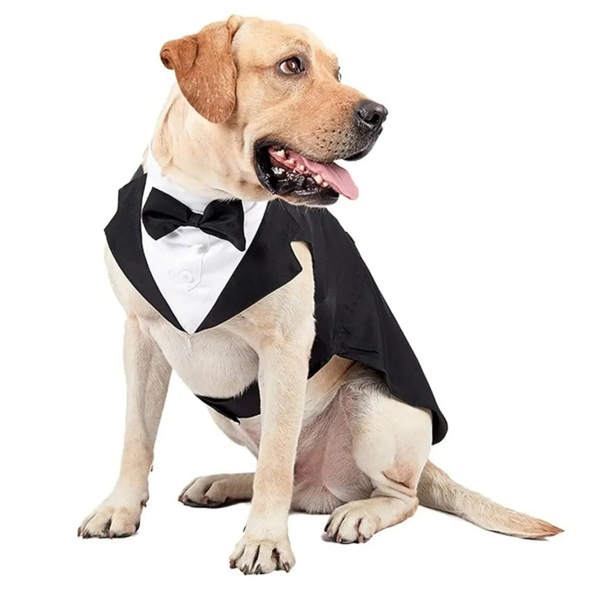 Tuxedo Costume