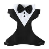 Tuxedo Harness