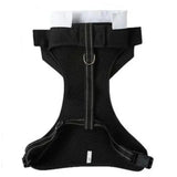 Tuxedo Harness