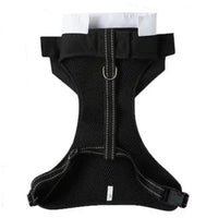 Tuxedo Harness