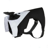 Tuxedo Harness