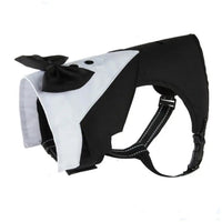 Tuxedo Harness