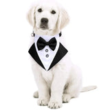 Tuxedo Bandana Collar