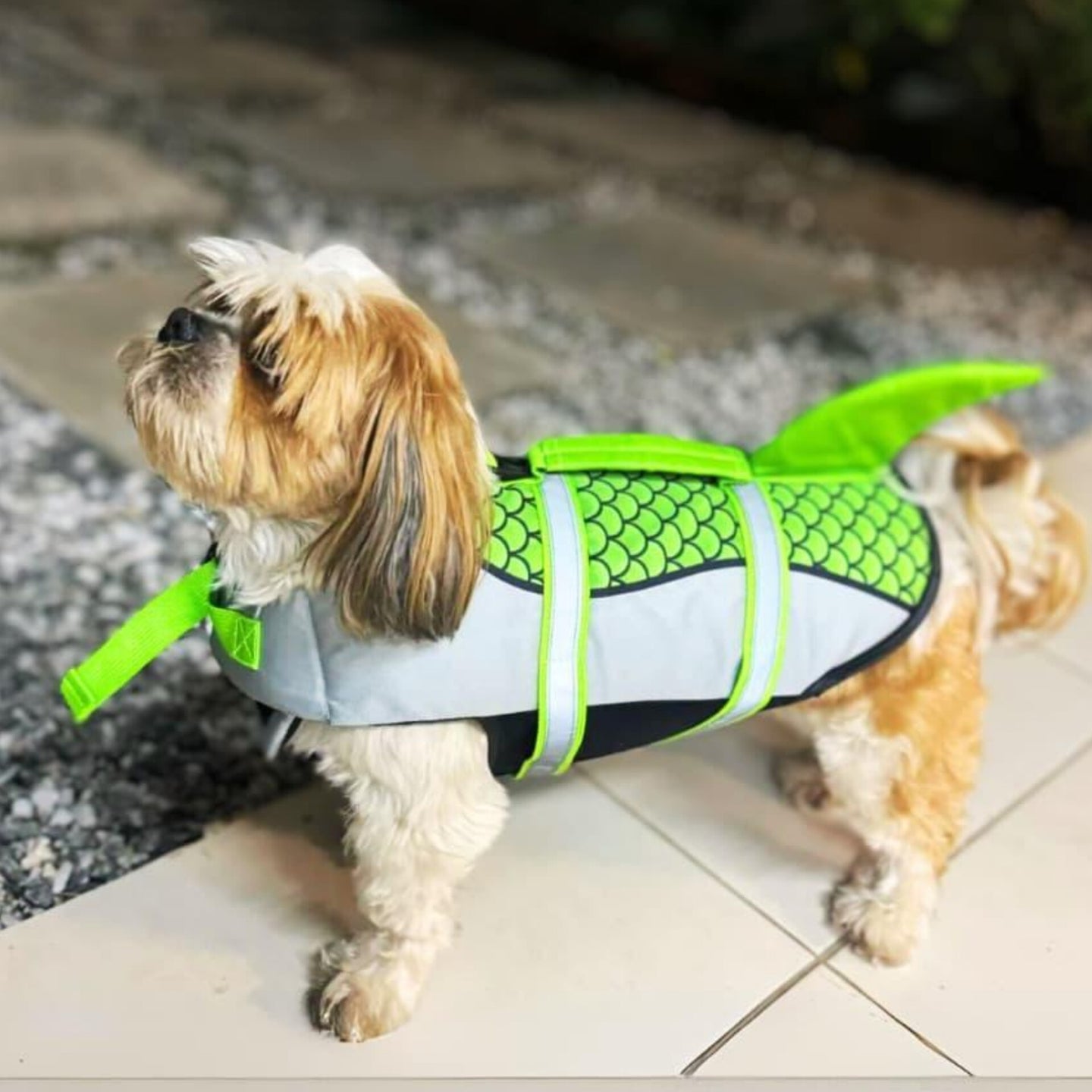 Mermaid Shark Life Jacket