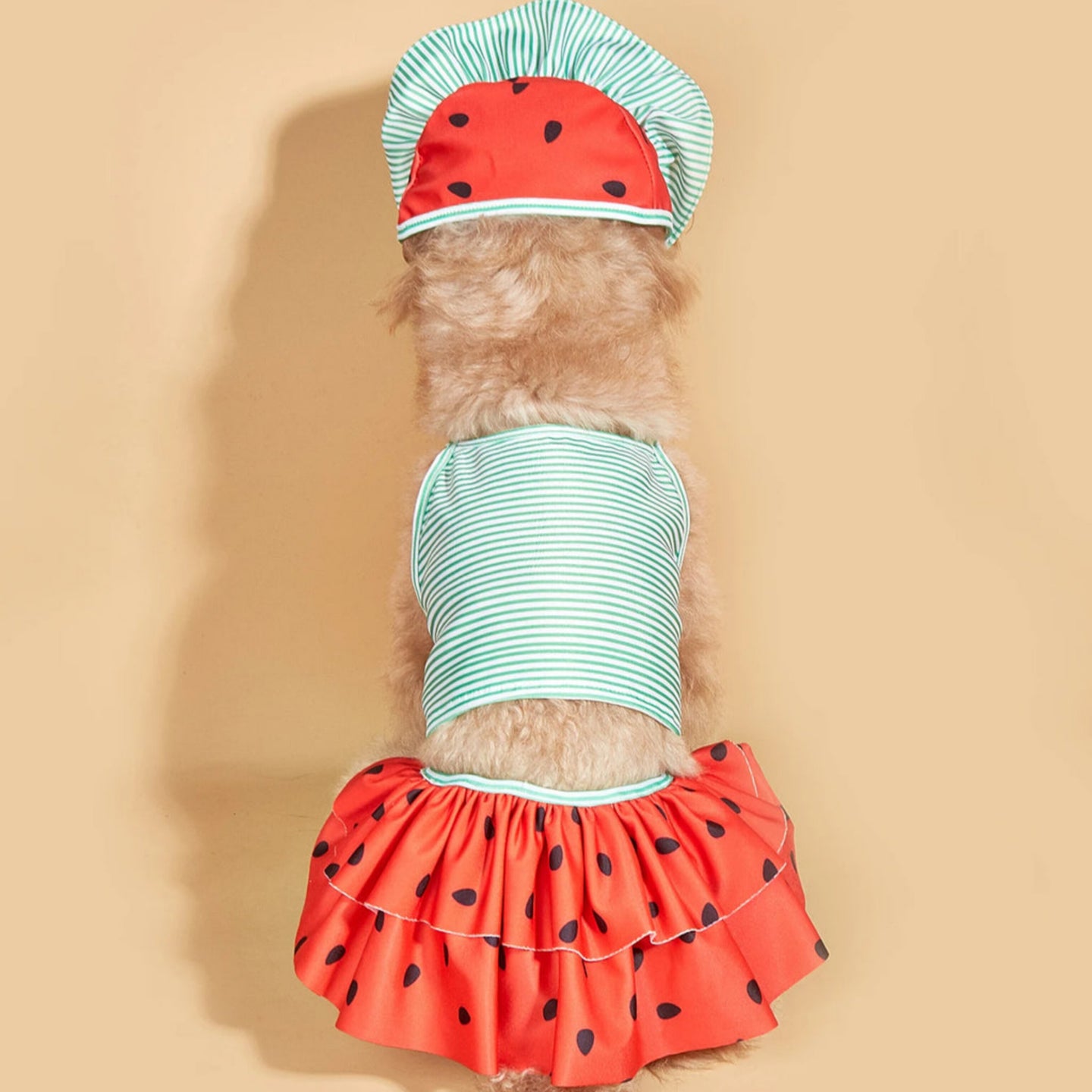 Melon Swimsuit