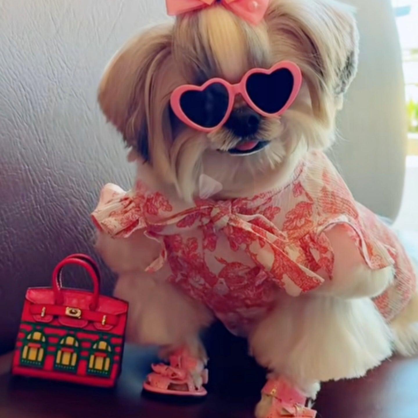 Mini Barkin House Purse