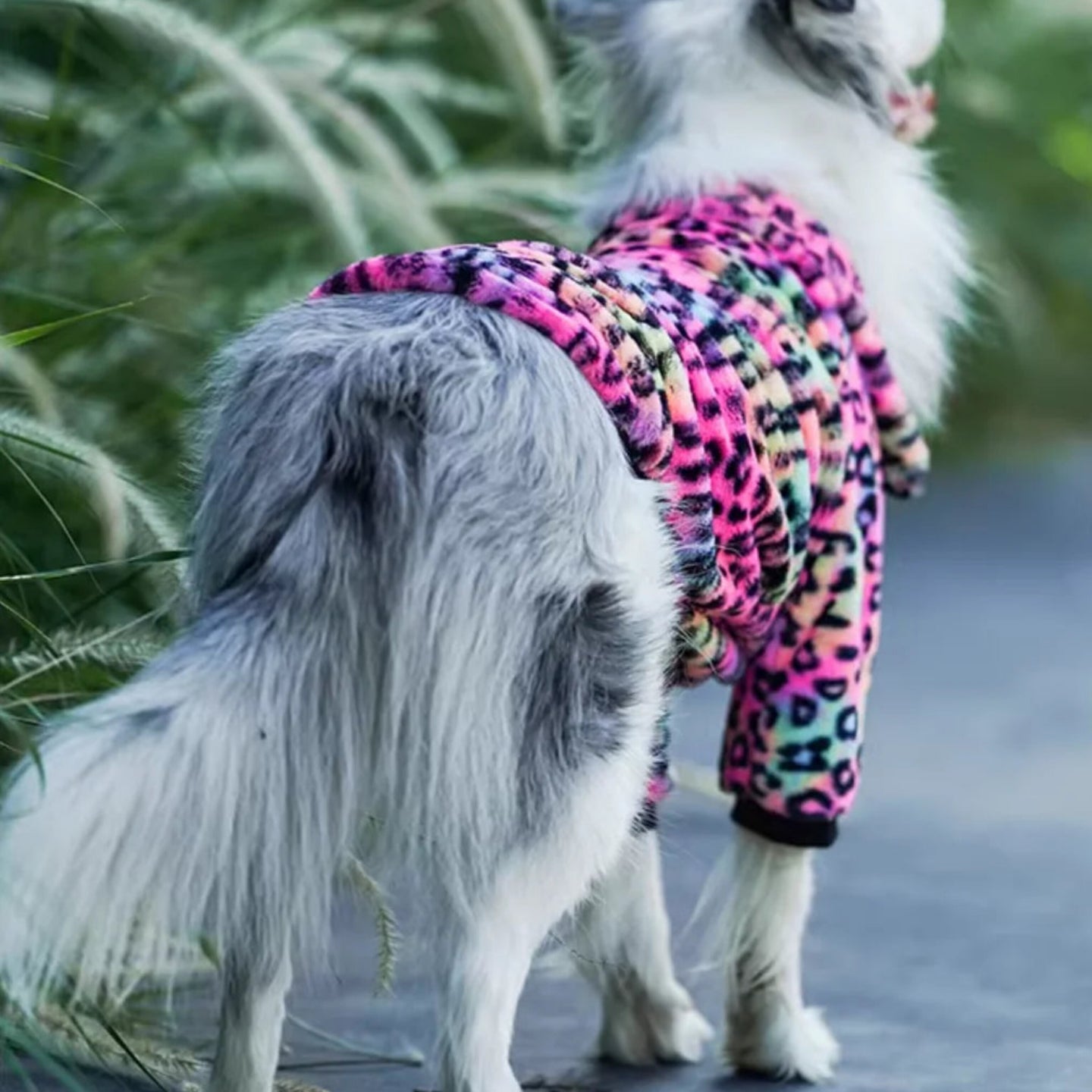 Multicolor Leopard Jacket