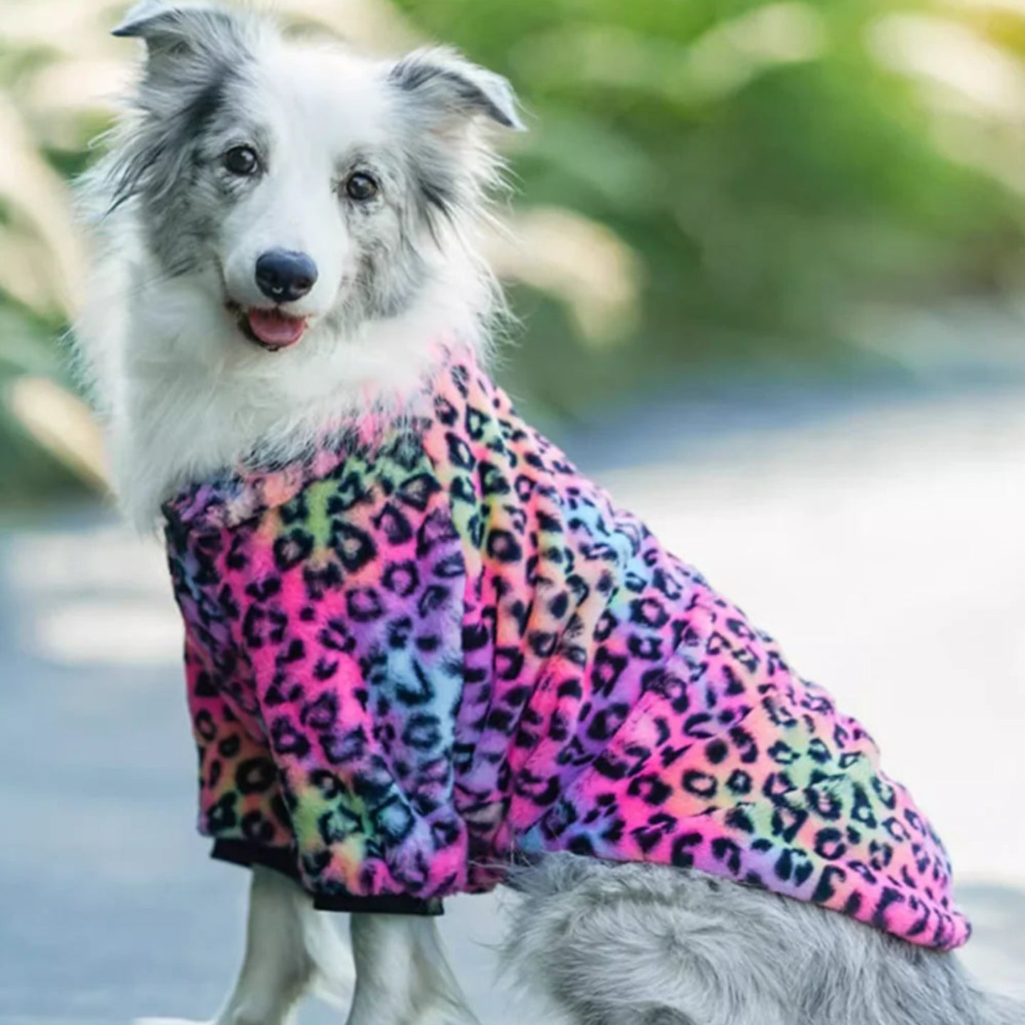 Multicolor Leopard Jacket