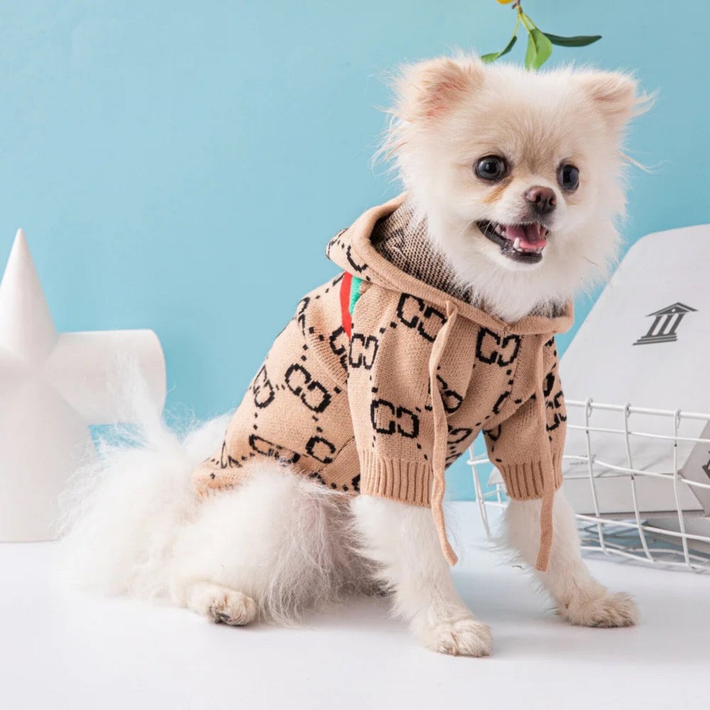 Gucchi Hooded Sweater