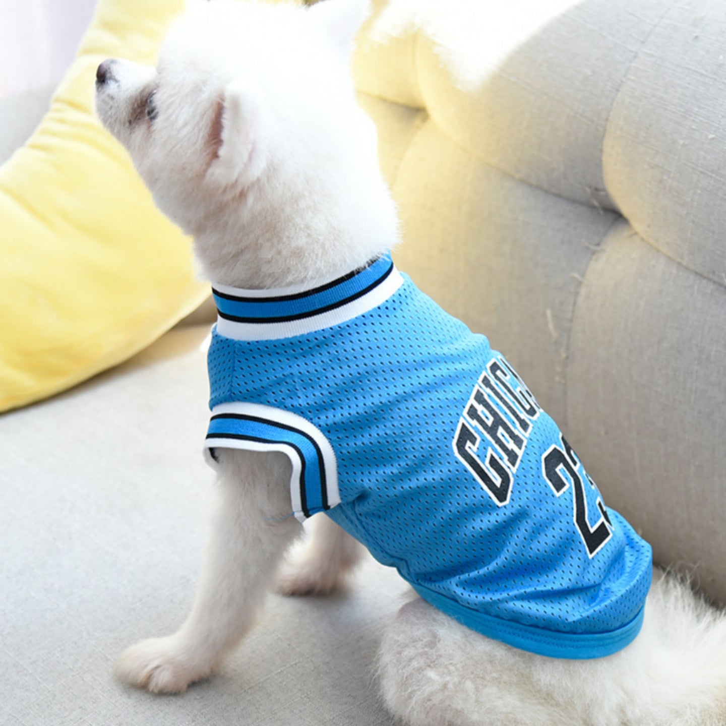 Chicago 23 Jersey