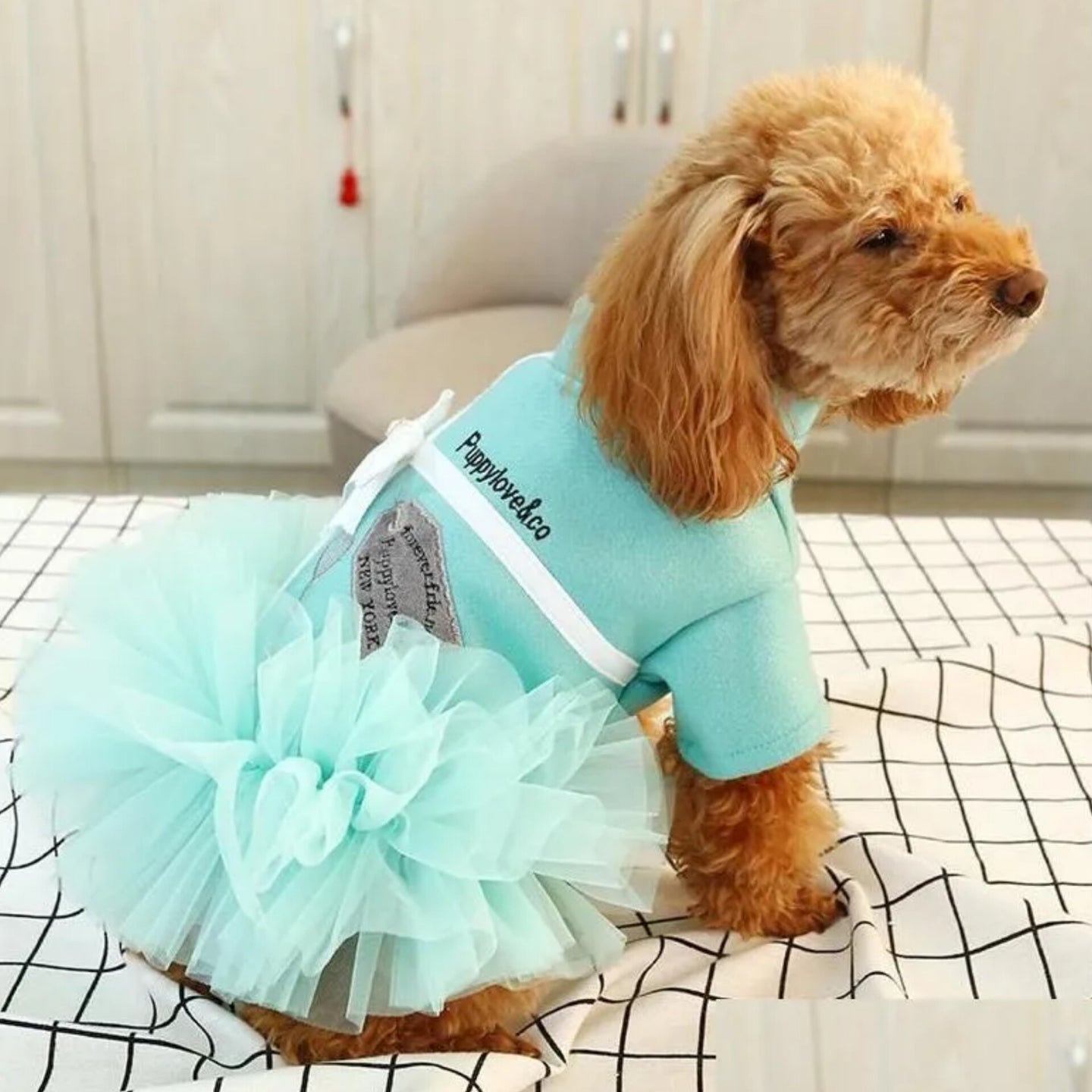 Sniffany & Co Tutu Dress