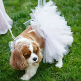 Tutu Skirt Dress