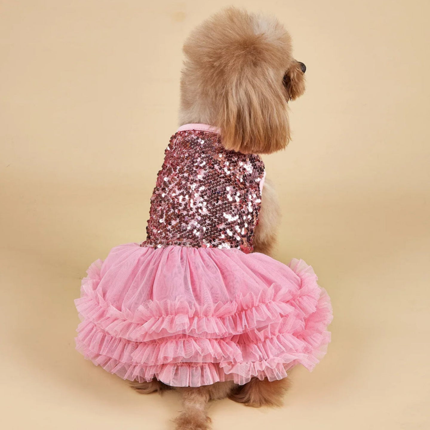PawDiva Sequin Dress